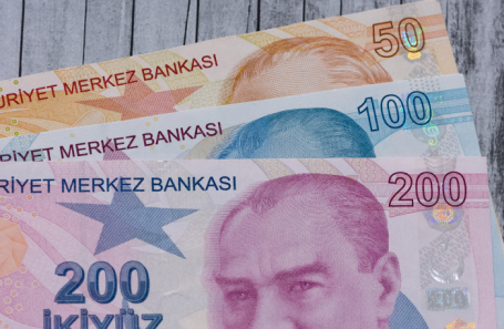 Турецкая лира поставила очередной антирекорд. Кто от этого выигрывает?